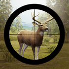 Contract Deer Hunter