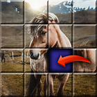 Sliding Puzzle Games