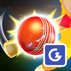 City Cricket